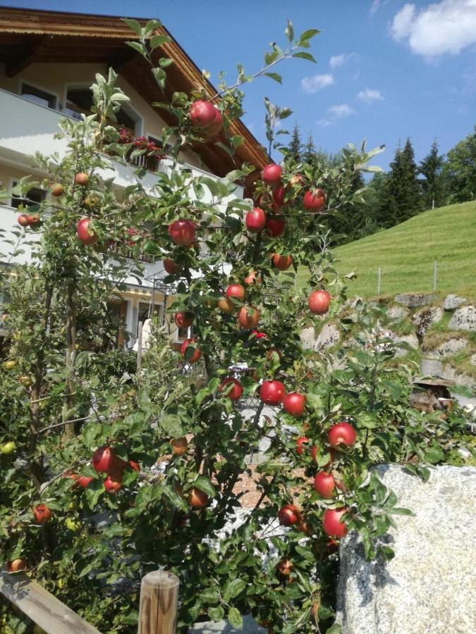 Ferienwohnungen Hinterstein Hart im Zillertal Exteriör bild